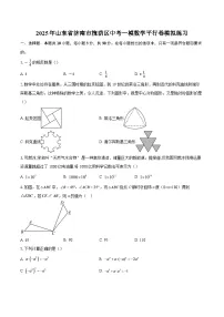 2025年山东省济南市槐荫区中考一模数学平行卷模拟练习-自定义类型