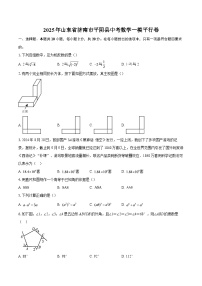 2025年山东省济南市平阴县中考数学一模平行卷-自定义类型