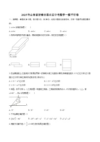 2025年山东省济南市章丘区中考数学一模平行卷-自定义类型