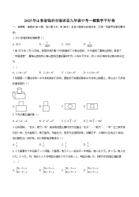 2025年山东省临沂市临沭县九年级中考一模数学平行卷-自定义类型