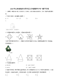 2025年山东省临沂市罗庄区九年级数学中考一模平行卷-自定义类型