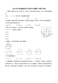 2025年山东省临沂市平邑县中考数学一模平行卷-自定义类型