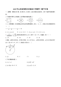 2025年山东省淄博市沂源县中考数学一模平行卷-自定义类型