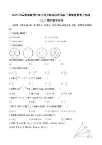 2025-2026学年黑龙江省大兴安岭地区呼玛县子弟学校联考八年级（上）期末数学试卷-自定义类型