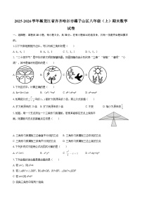 2025-2026学年黑龙江省齐齐哈尔市碾子山区八年级（上）期末数学试卷-自定义类型