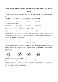 2025-2026学年黑龙江省绥化市绥棱林业局中学七年级（上）期末数学试卷-自定义类型