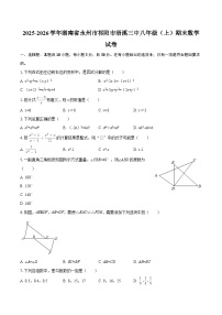 2025-2026学年湖南省永州市祁阳市浯溪三中八年级（上）期末数学试卷-自定义类型