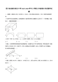 四川省成都市部分中学2025-2026学年上学期九年级期末考试数学试题-自定义类型