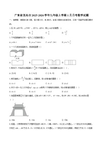 广东省茂名市2025-2026学年九年级上学期1月月考数学试题-自定义类型