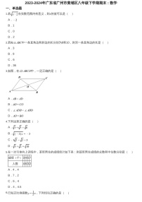 2023-2024学年广东省广州市黄埔区八年级下学期数学期末考试题（含答案）
