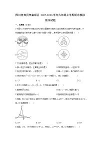 2025-2026学年四川省自贡市富顺县九年级上学期期末模拟数学试卷（学生版）
