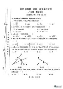 上海市浦东新区2025--2026学年八年级数学上学期期末考试卷