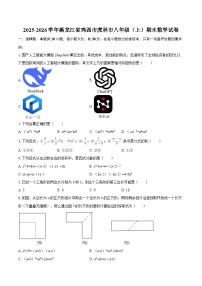 2025-2026学年黑龙江省鸡西市虎林市八年级（上）期末数学试卷-自定义类型
