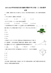 2025-2026学年吉林省长春市榆树市慧望中学九年级（上）期末数学试卷-自定义类型
