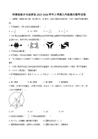河南省新乡市延津县2025-2026学年上学期九年级期末数学试卷-自定义类型