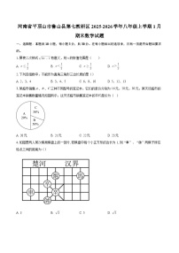 河南省平顶山市鲁山县第七教研区2025-2026学年八年级上学期1月期末数学试题-自定义类型