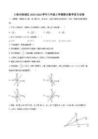 上海市杨浦区2025-2026学年八年级上学期期末数学复习试卷-自定义类型