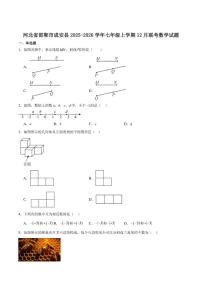 2025-2026学年河北省邯郸市成安县七年级上学期12月月考数学试卷（有答案）