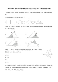 山东省聊城市阳谷县2025-2026学年九年级上学期期中数学试卷(含答案)