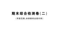 初中数学新华东师大版八年级下册期末综合检测卷（二）作业课件（2026春）（放映显示答案）