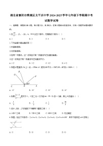 湖北省襄阳市樊城区太平店中学2024-2025学年七年级下学期期中考试数学试卷-自定义类型
