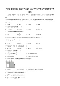广东省惠州市综合高级中学2025--2026学年上学期七年级数学期中考试卷-自定义类型