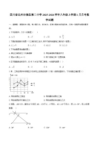 四川省达州市渠县第二中学2025-2026学年八年级上学期1月月考数学试题-自定义类型