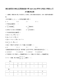 湖北省武汉市青山区武钢实验中学2025-2026学年七年级上学期12月月考数学试卷-自定义类型