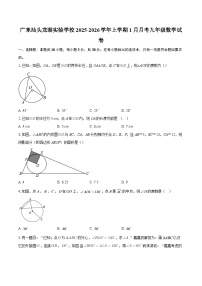 广东汕头龙湖实验学校2025-2026学年上学期1月月考九年级数学试卷-自定义类型
