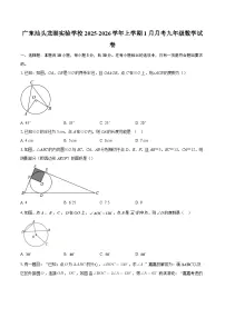 广东汕头龙湖实验学校2025-2026学年上学期1月月考九年级数学试卷-自定义类型