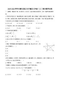 2025-2026学年内蒙古通辽市开鲁县七年级（上）期末数学试卷-自定义类型