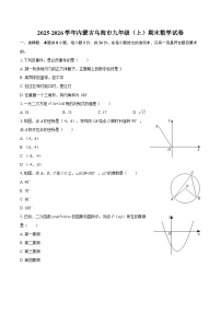 2025-2026学年内蒙古乌海市九年级（上）期末数学试卷-自定义类型