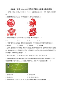 云南省个旧市2024-2025学年上学期九年级期末数学试卷-自定义类型