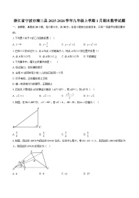 浙江省宁波市南三县2025-2026学年九年级上学期1月期末数学试题-自定义类型