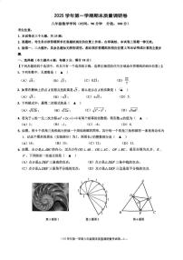 上海市杨浦区2025-2026学年八年级上学期数学期末考试试卷