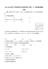 2025-2026学年广东省深圳中学龙岗学校八年级（上）期末数学模拟试卷（含答案+解析）