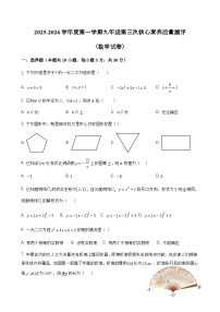 广东省汕头市潮阳区部分学校2025-2026学年九年级上学期1月期末数学试题（无答案）