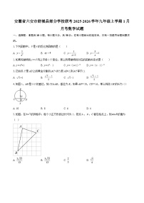 安徽省六安市舒城县部分学校联考2025-2026学年九年级上学期1月月考数学试题-自定义类型