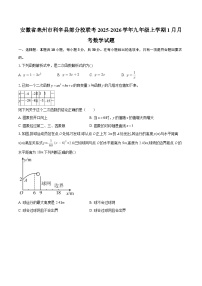 安徽省亳州市利辛县部分校联考2025-2026学年九年级上学期1月月考数学试题-自定义类型