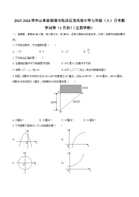 2025-2026学年山东省淄博市张店区龙凤苑中学七年级（上）月考数学试卷（1月份）（五四学制）-自定义类型