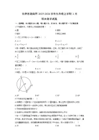 2025-2026学年甘肃省陇南市九年级上学期1月期末数学试卷（学生版）