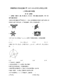 2025-2026学年新疆维吾尔自治区喀什市九年级上学期1月期末数学试卷（学生版）