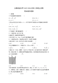 2025-2026学年安徽省宿州市八年级上学期期末数学试卷（学生版）