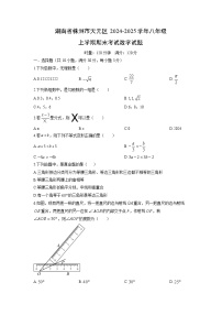2024-2025学年湖南省株洲市天元区八年级上学期期末考试数学试卷（学生版）