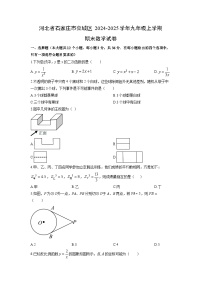 2024-2025学年河北省石家庄市栾城区九年级上学期期末数学试卷（学生版）