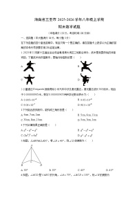 2025-2026学年海南省三亚市八年级上学期期末数学试卷（学生版）