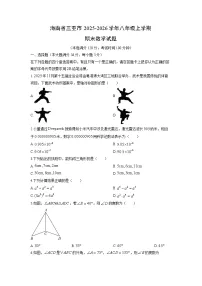 2025-2026学年海南省三亚市八年级上学期期末数学试卷（学生版）