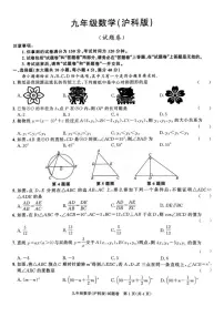 2025-2026学年安徽省合肥市上学期九年级期末数学_(含答案_)试卷