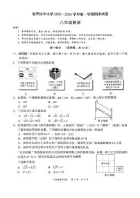 广东省深圳龙华区2025-2026学年上学期八年级期末数学试题