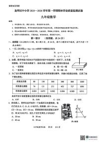 广东省深圳市龙华区2025-2026学年九年级上学期期末数学试卷